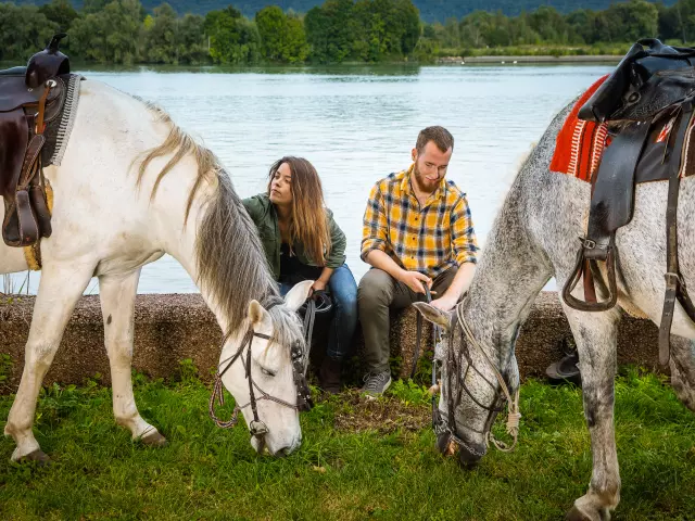 Equestrian weekend. La Mailleraye sur seine.