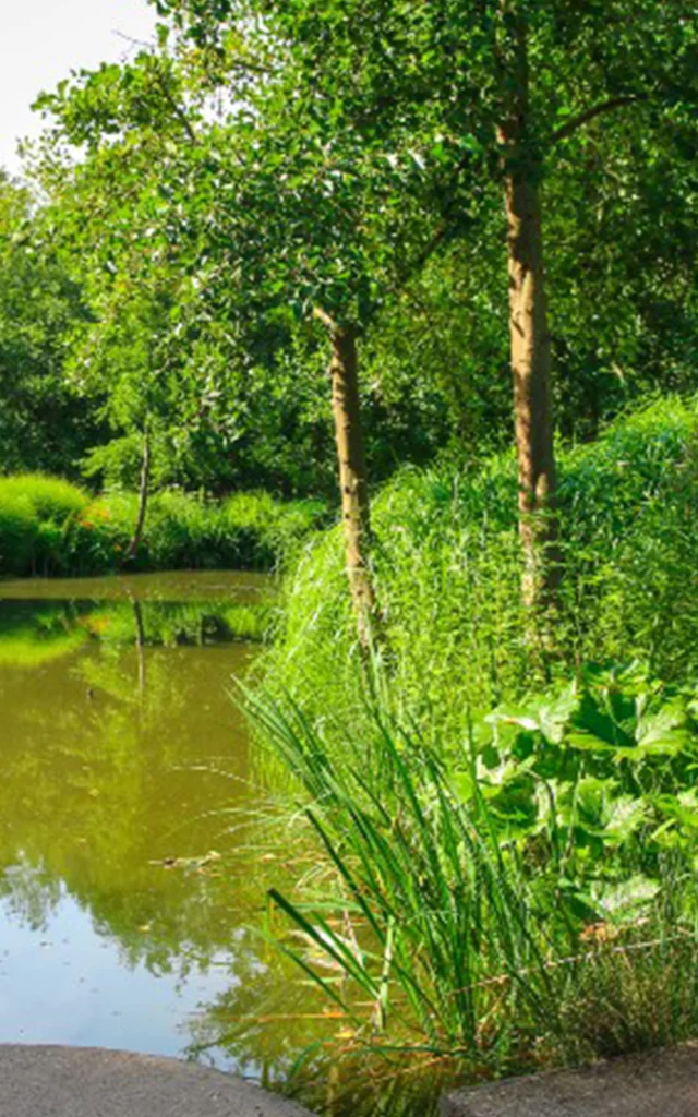 Port Jeroe Sur Seine 2016 Parc Du Telhuet Etangs Csnt
