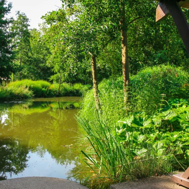 Port Jeroe Sur Seine 2016 Parc Du Telhuet Etangs Csnt