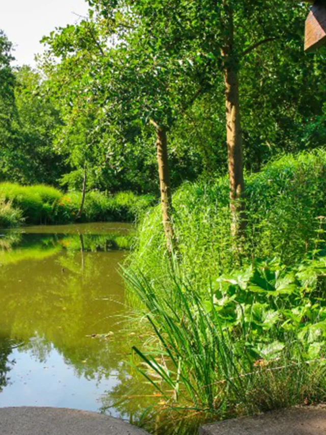 Port Jeroe Sur Seine 2016 Parc Du Telhuet Etangs Csnt