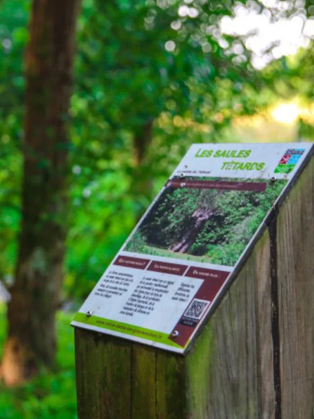 Port Jeroe Sur Seine 2016 Parc Du Telhuet Panneaux Csnt