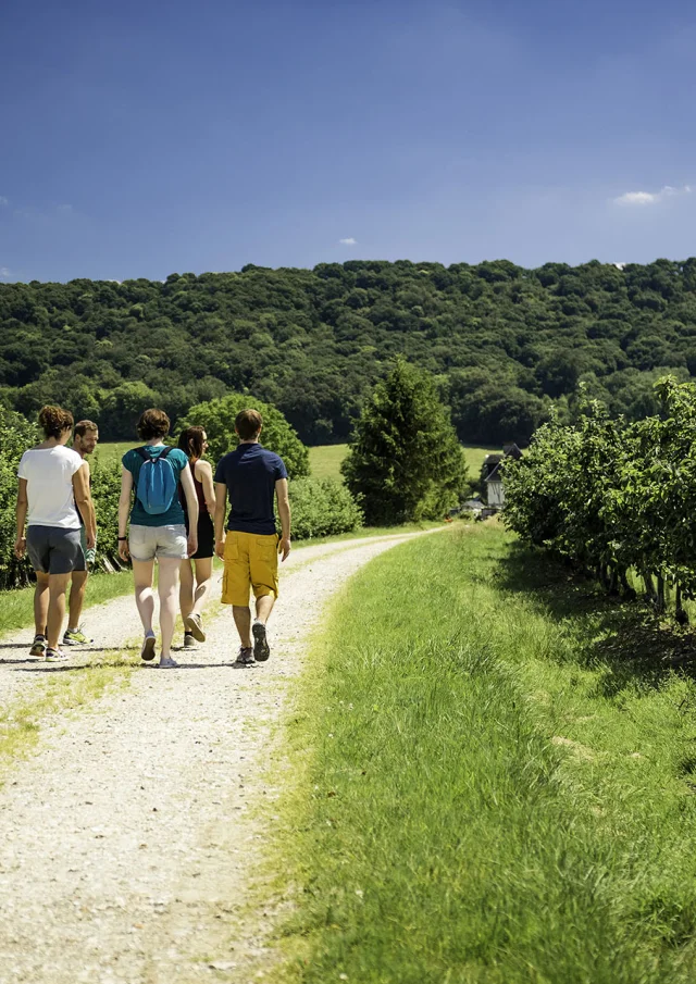 vallée de seine-vergers-2016©Seine-Maritime Tourisme-V.Rustuel