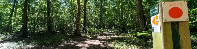 Arelaune En Seine 2022 Foret Brotonne Parc Naturel Regional Boucles De La Seine Csnt