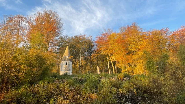 Gruchet Le Valasse 2021 Parc Abbaye Du Valasse Automne Autour De La Tourelle Csnt