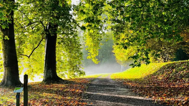 Gruchet Le Valasse 2023 Abbaye Du Valasse Balade Dans Le Parc Csnt