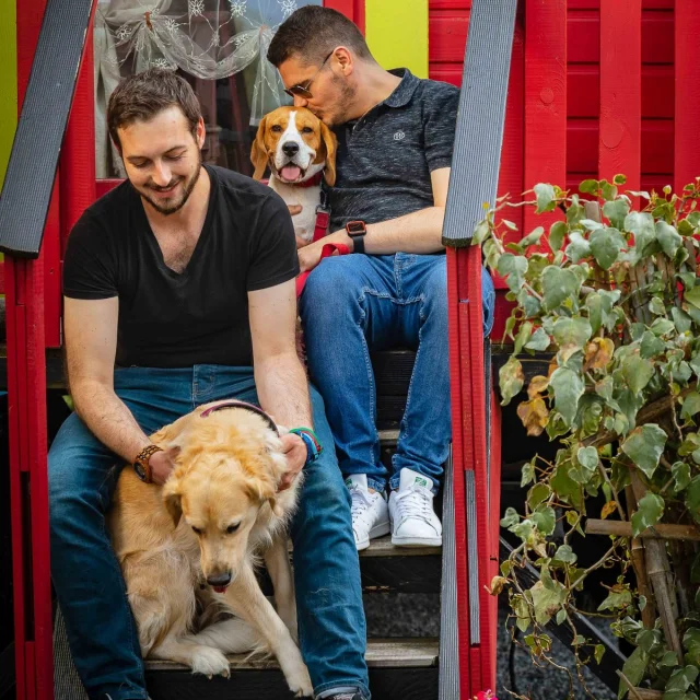 Heurteauville June 2018 Week End 76 Couple Duo Accommodation Insolite Seine Sea Roulotte Dog Drone Press