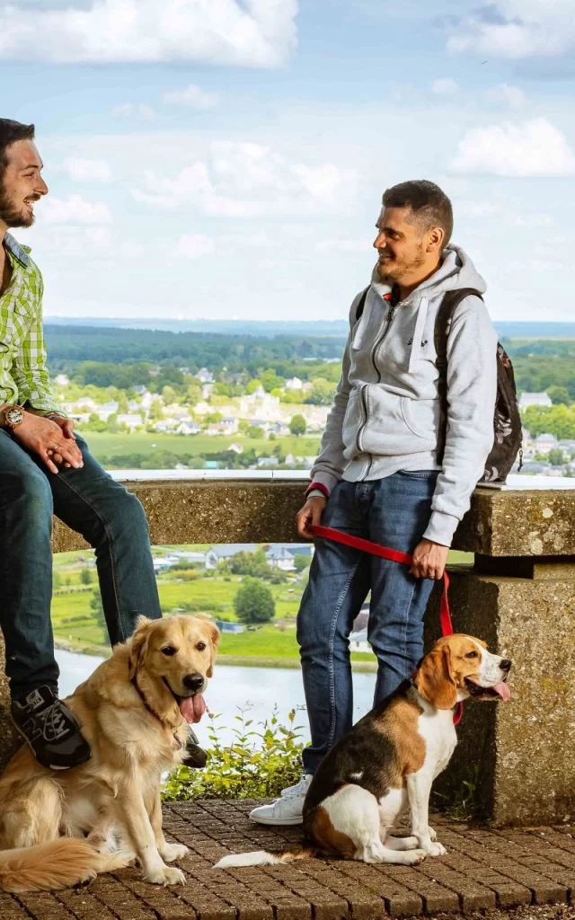 Heurteauville Juni 2018 Week End 76 Urlaub Seine Ufer Panorama Hund Ruhig Drohne Press