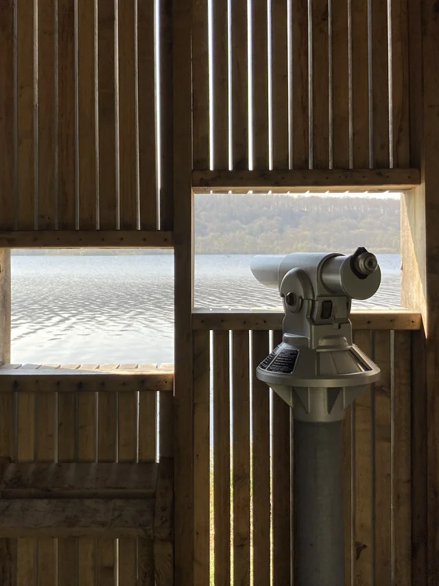 Heurteauville March 2022 Tourbiere Heurteauville Plan Eau Longue Vue Csnt