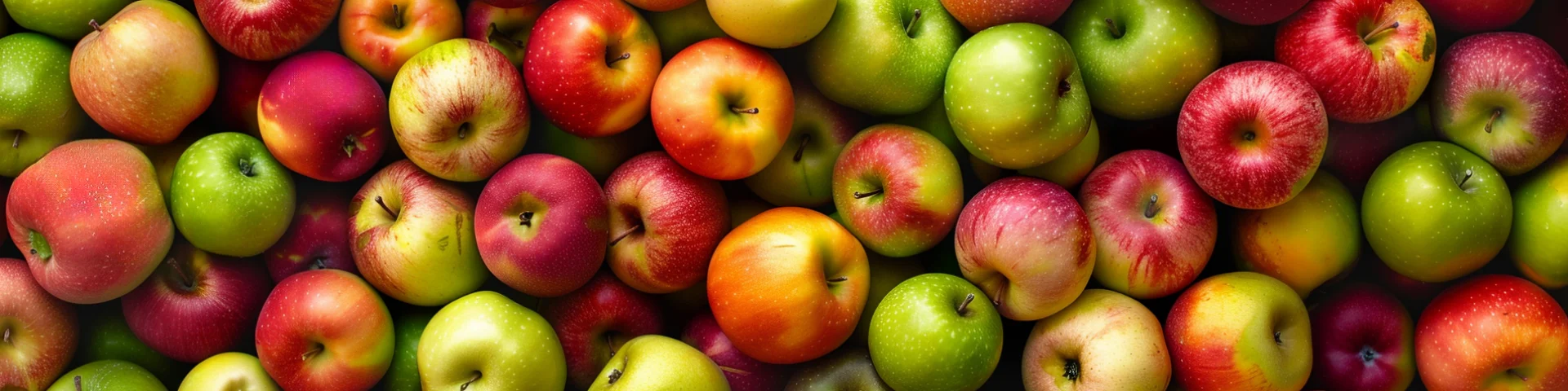 Ia Pommes Route Des Fruits Csnt