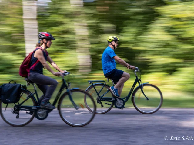 La Mailleraye Sur Seine July 2022 Arelaune En Seine Cyclotourisme Slow Tourism Mobilite Douce Visite A Velo Eric Sanson