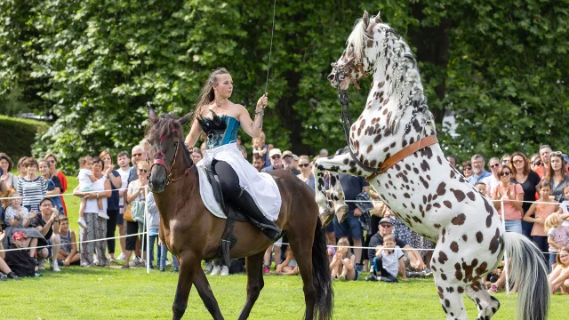 Abtei Du Valasse 2023 Fete Du Cheval Eric Sanson