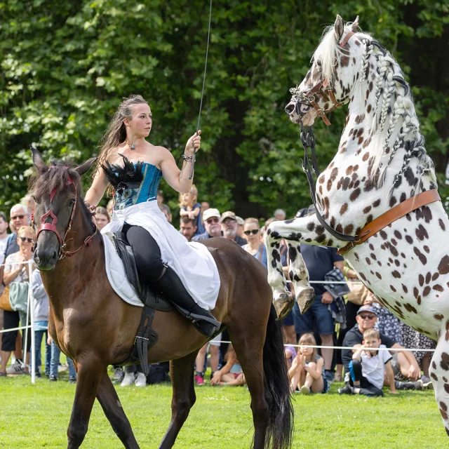 Abbaye Du Valasse 2023 Fete Du Cheval Eric Sanson