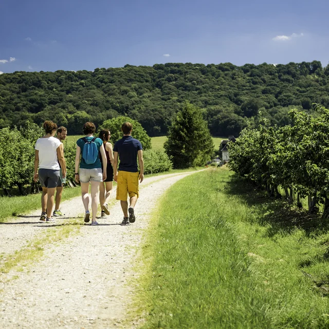 Vallee De Seine 2016 Promeneurs Seine Maritiem Toerisme V.rustuel