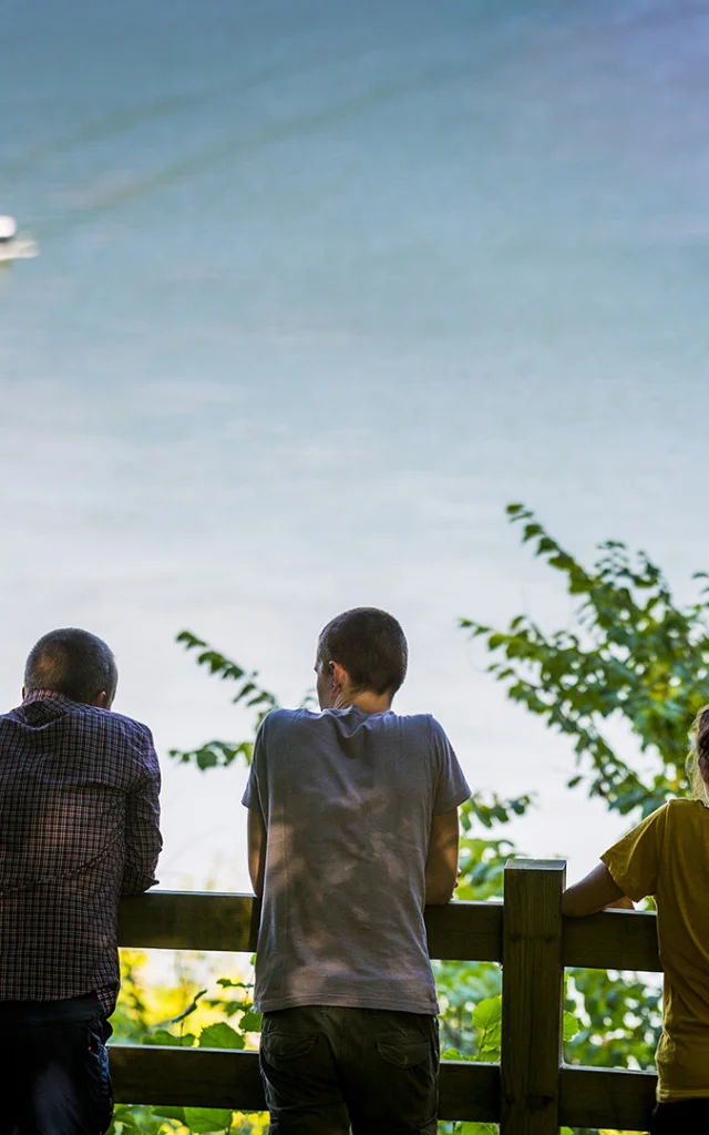 Vallee De La Seine 2013 Bois De Villequier Seine Maritime Tourism V.rustuel