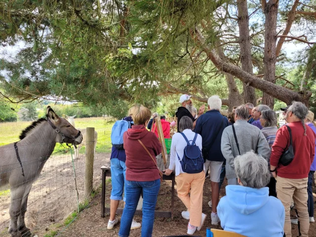 Les Fourneaux Escargots Group Output Saint Ouen Du Tilleul Normandie