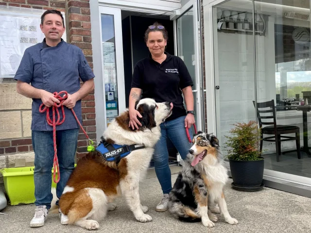 Arelaune En Seine Printemps 2022 La Mailleraye Sur Seine Restaurant Proprietaire Avec Chien Weekend 76 En Normandie Csnt