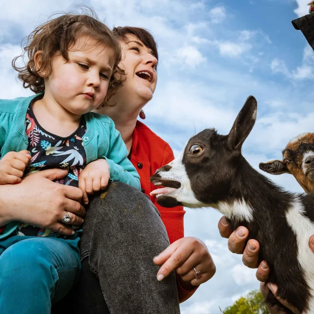 Lanquetot Ete 2020 Weekend Amis Famille Avec Enfants Animaux Normandie Drone Press