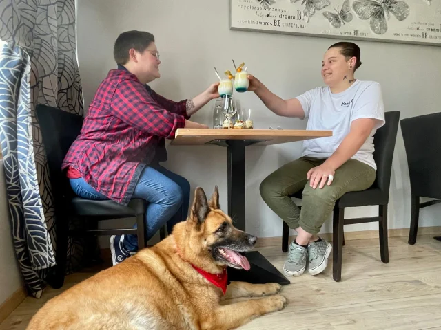 Maulevrier Sainte Gertrude April 2022 Shooting Dog Friendly Paar Restaurant Lokale Produkte Mit Hund Csnt