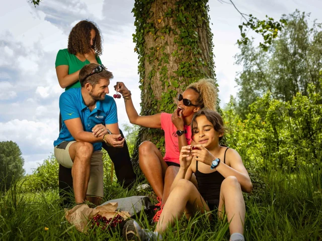 Route Des Fruits Ete 2020 Caux Seine Agglo Normandie Sejour Week End Insolite Famille Drone Press