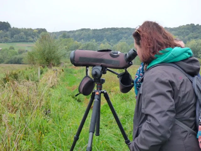 Parc Naturel Regional Des Boucles De La Seine Normande 9 Observersstsulpiceasjehanne