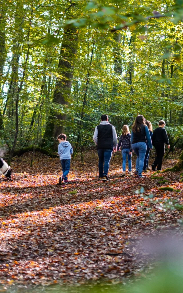 Foret De Brotonne Herbst 2024 Familie Spaziergang La Mailleraye Sur Seine Arelaune En Seine Agentur Gute Zeit