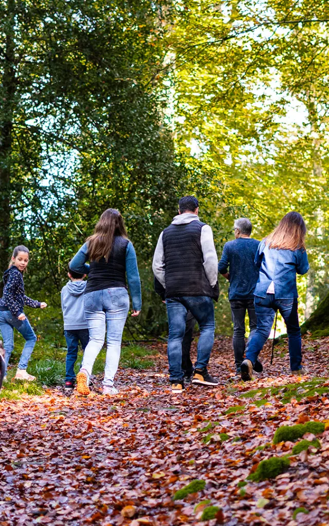 2024 Automne Balade En Foret De Brotonne 2 Agence Bonne Heure
