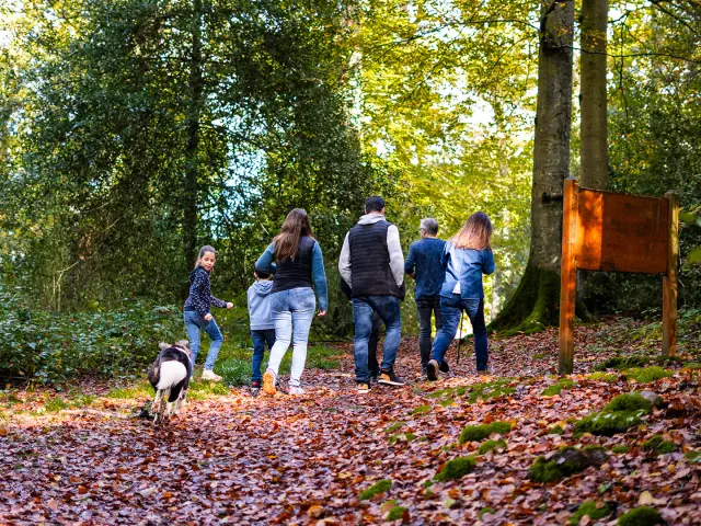 2024 Automne Balade En Foret De Brotonne 2 Agence Bonne Heure