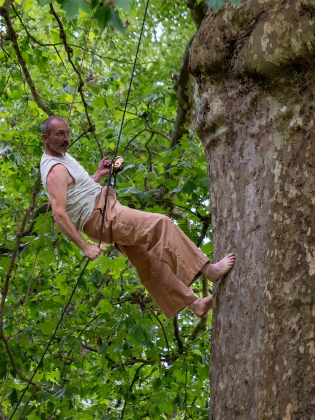 Deux Dans L Arbre Artiste Programmation Bulles D Ete 2026